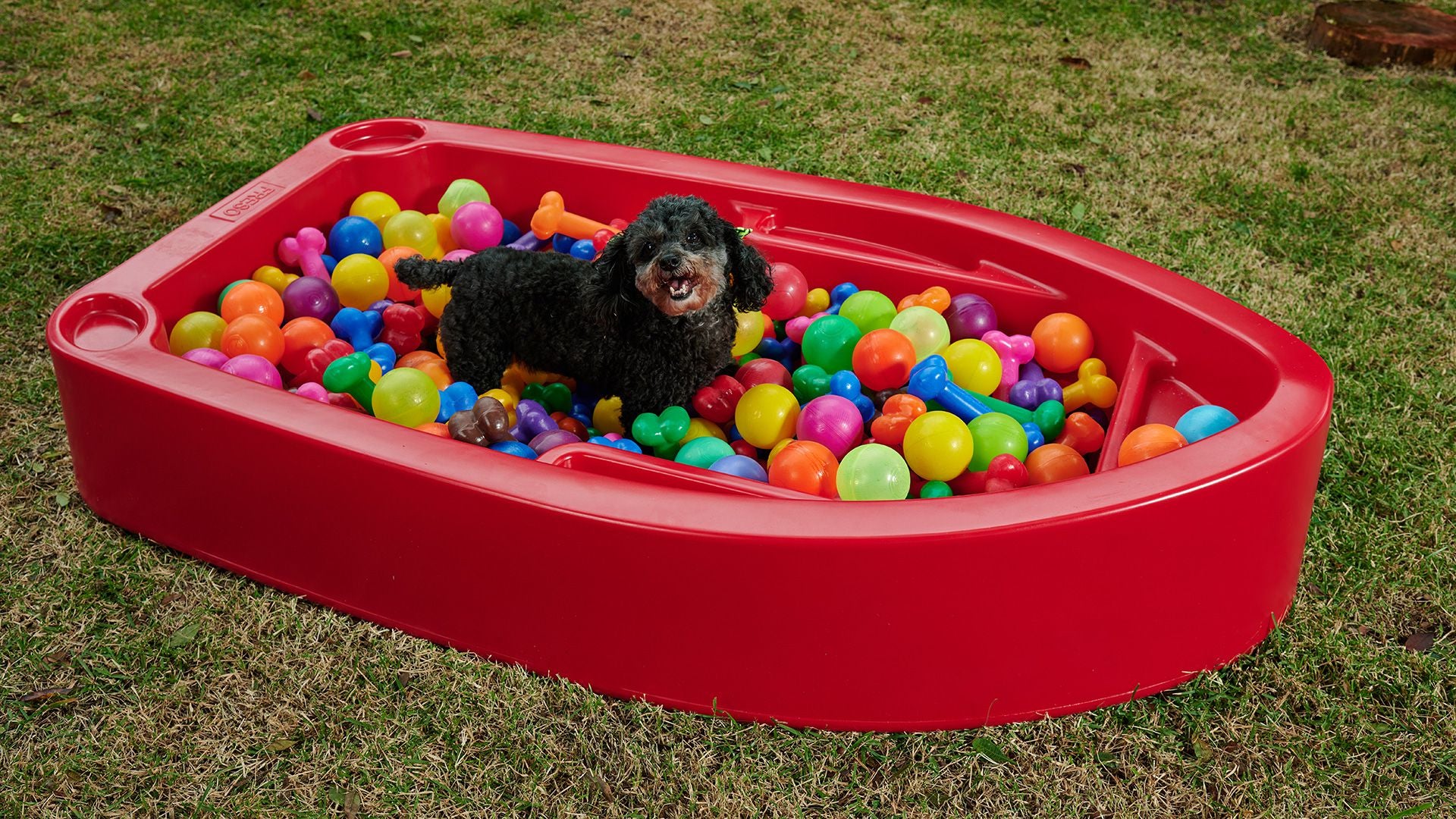 Piscina para Cachorro Barquinho Pet Vermelho - Freso