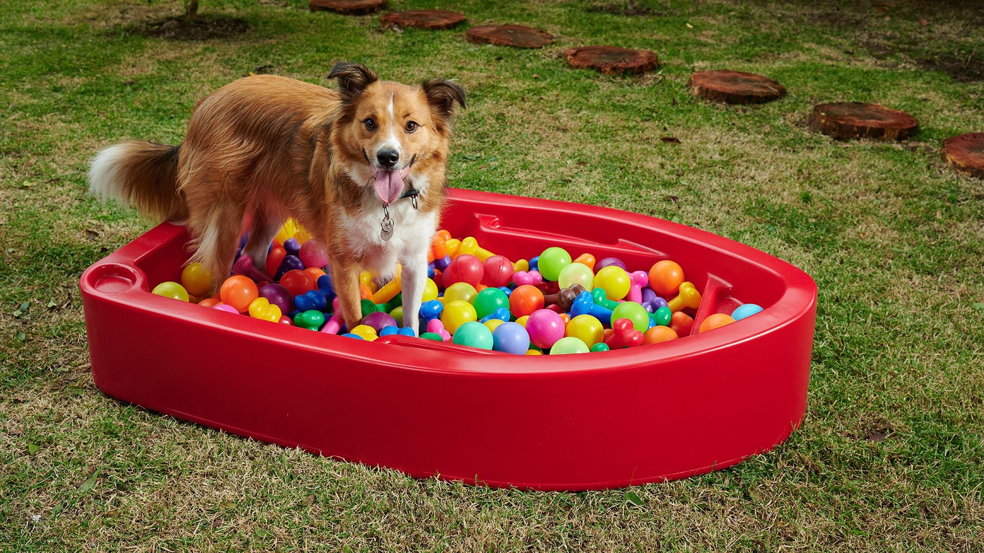 Piscina para Cachorro Barquinho Pet Vermelho - Freso
