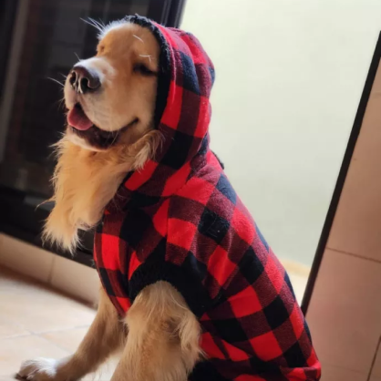 Roupa de Frio para Cachorro - Porte Médio e Grande