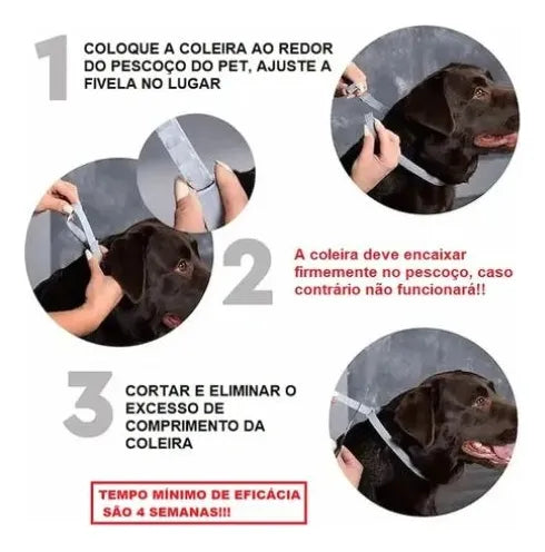 Coleira Natural Antipulgas, Carrapatos e Mosquitos para Cães e Gatos