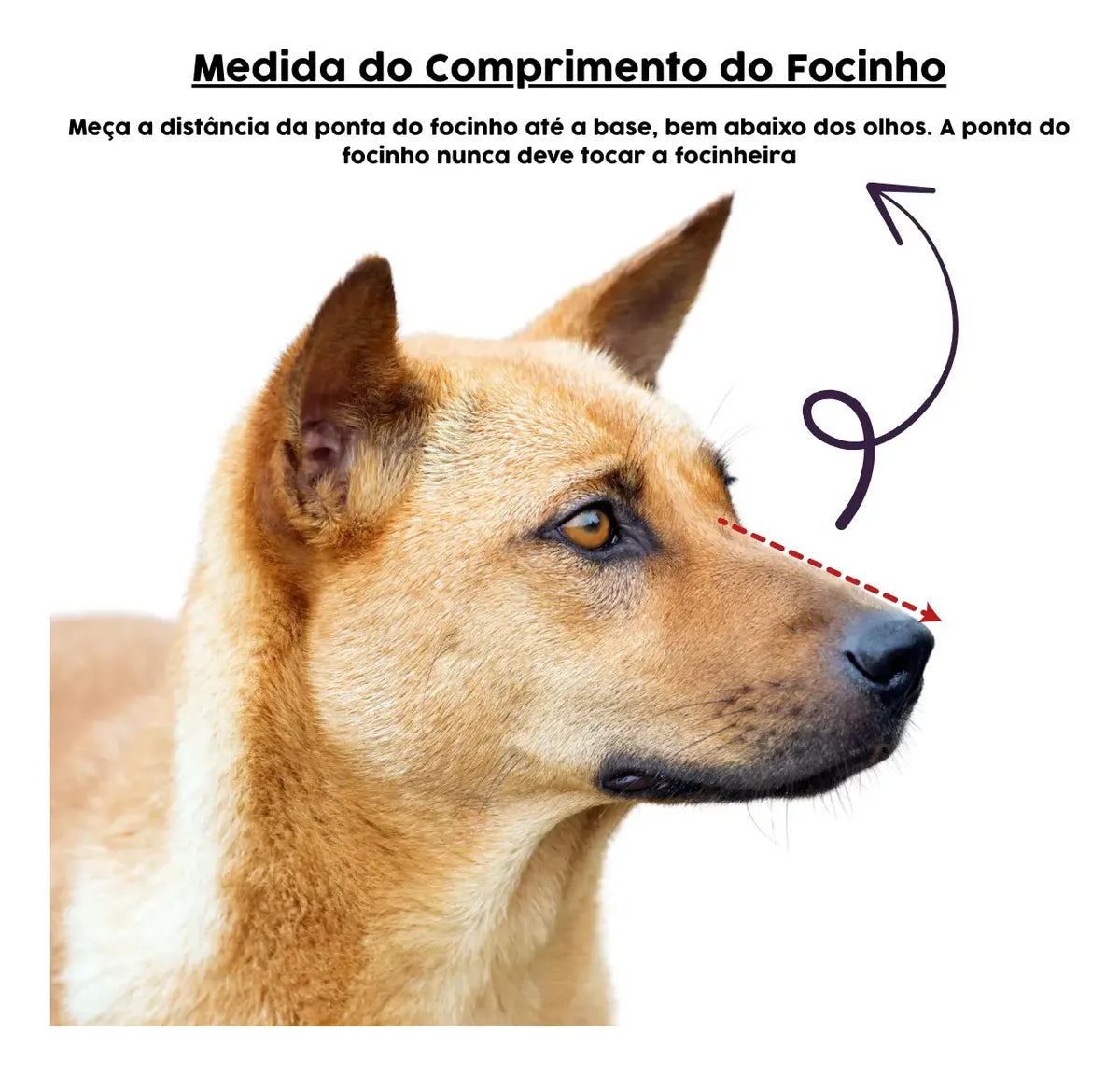 Focinheira Baskerville Preta XG (Tamanho 5) - Conforto e Segurança Máxima