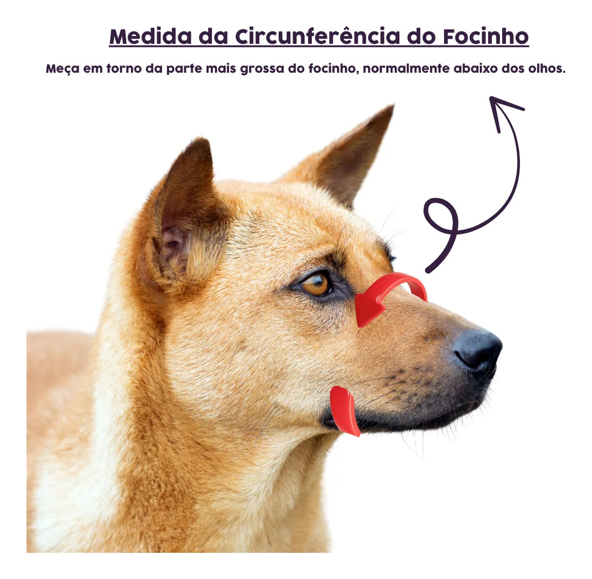 Focinheira Baskerville Preta XG (Tamanho 5) - Conforto e Segurança Máxima