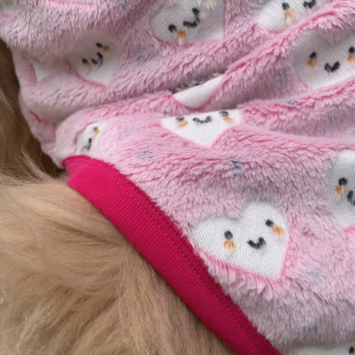 Roupa Pet Inverno Brilha no Escuro - Cachorros