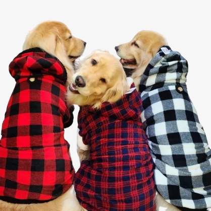 Roupa de Frio para Cachorro - Porte Médio e Grande