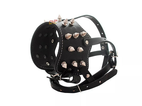 Focinheira de Couro Cães - Porte Grande Spikes