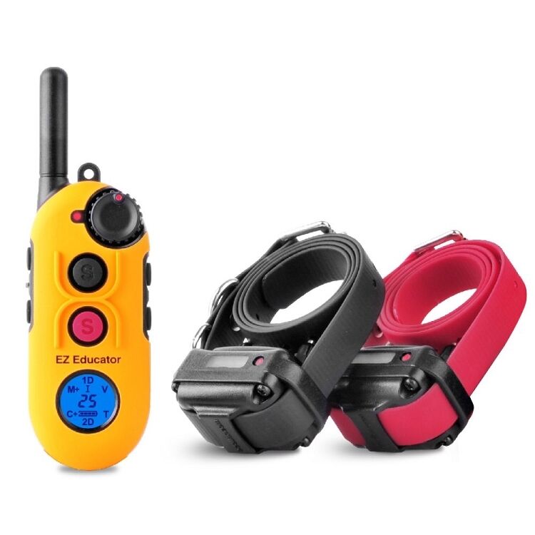 E-collar Educador EZ-900/EZ-902 avançado - Sem Maleta